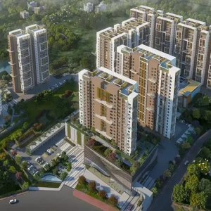 8c790cf8-c4f5-4c83-bcf0-eb2a0eb809db_avana (1)